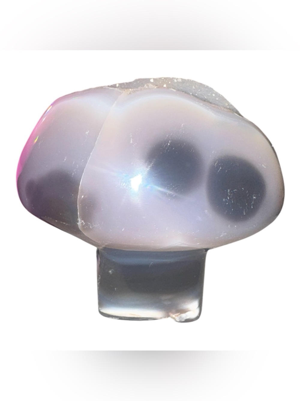Polished Agate Druzy Mushroom Display
